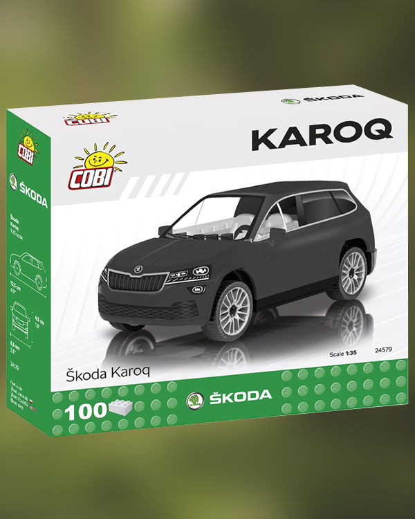 24579 Škoda Karoq 
